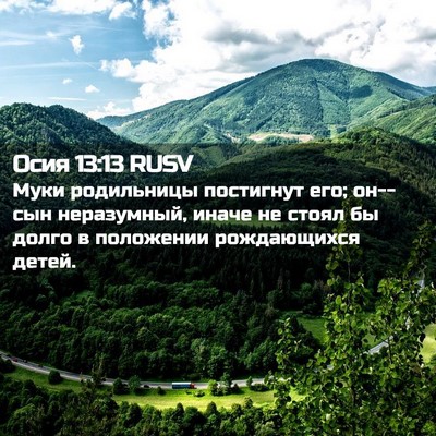 Picture 02 - Осия 13:13 RUSV - Муки родильницы постигнут - Bible Verse Picture