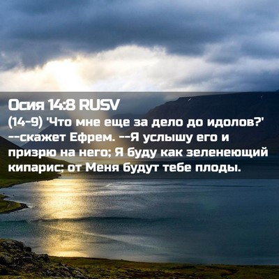 Picture 02 - Осия 14:8 RUSV - (14-9) 'Что мне еще за дело до - Bible Verse Picture