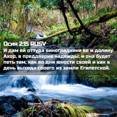 Picture 02 - Осия 2:15 RUSV - И дам ей оттуда - Bible Verse Picture