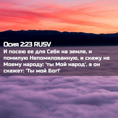 Picture 02 - Осия 2:23 RUSV - И посею ее для Себя на - Bible Verse Picture