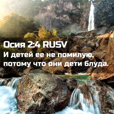 Picture 02 - Осия 2:4 RUSV - И детей ее не помилую, - Bible Verse Picture