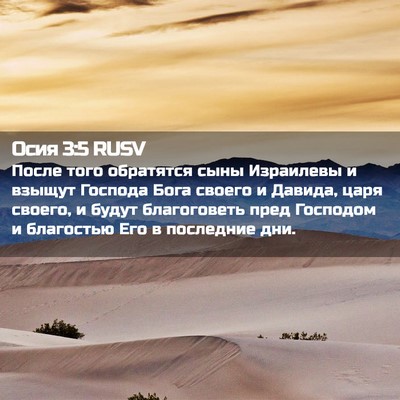 Picture 02 - Осия 3:5 RUSV - После того обратятся сыны - Bible Verse Picture