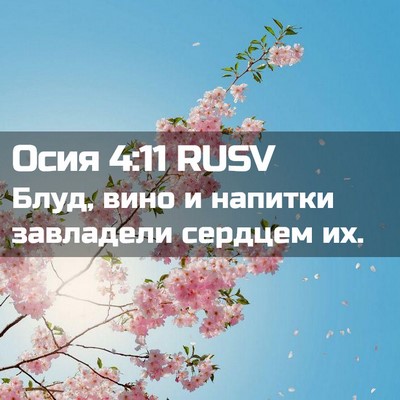 Picture 02 - Осия 4:11 RUSV - Блуд, вино и напитки - Bible Verse Picture