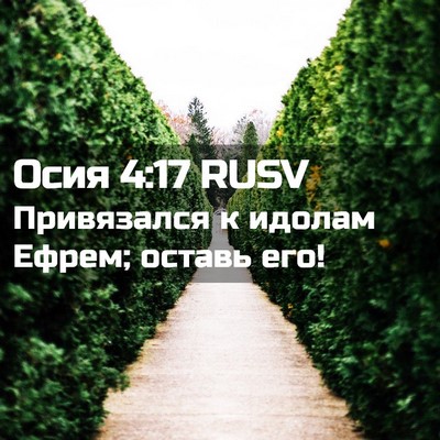 Picture 02 - Осия 4:17 RUSV - Привязался к идолам Ефрем; - Bible Verse Picture