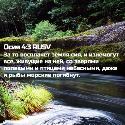 Picture 02 - Осия 4:3 RUSV - За то восплачет земля сия, - Bible Verse Picture