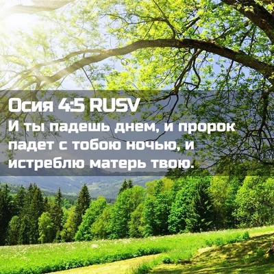 Picture 02 - Осия 4:5 RUSV - И ты падешь днем, и пророк - Bible Verse Picture