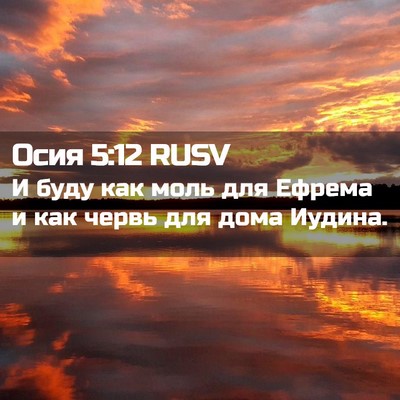 Picture 02 - Осия 5:12 RUSV - И буду как моль для Ефрема - Bible Verse Picture