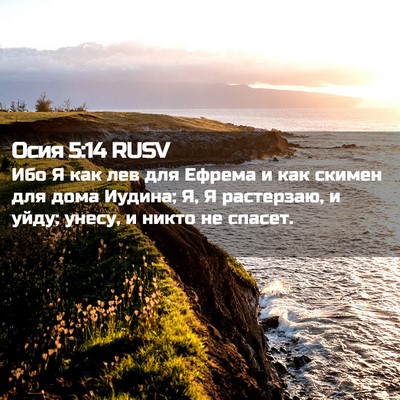 Picture 02 - Осия 5:14 RUSV - Ибо Я как лев для Ефрема и - Bible Verse Picture