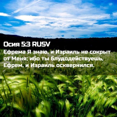 Picture 02 - Осия 5:3 RUSV - Ефрема Я знаю, и Израиль не - Bible Verse Picture