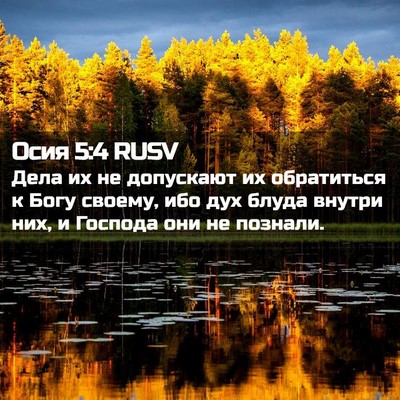 Picture 02 - Осия 5:4 RUSV - Дела их не допускают их - Bible Verse Picture