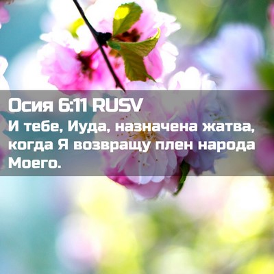 Picture 02 - Осия 6:11 RUSV - И тебе, Иуда, назначена - Bible Verse Picture