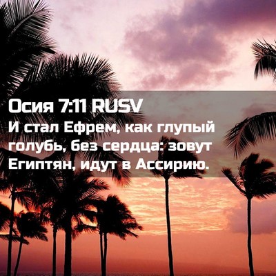 Picture 02 - Осия 7:11 RUSV - И стал Ефрем, как глупый - Bible Verse Picture