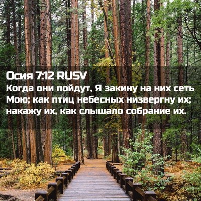 Picture 02 - Осия 7:12 RUSV - Когда они пойдут, Я закину - Bible Verse Picture