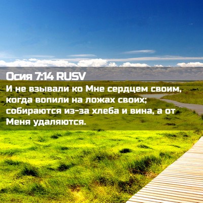 Picture 02 - Осия 7:14 RUSV - И не взывали ко Мне сердцем - Bible Verse Picture