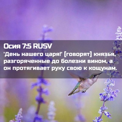 Picture 02 - Осия 7:5 RUSV - 'День нашего царя!' - Bible Verse Picture