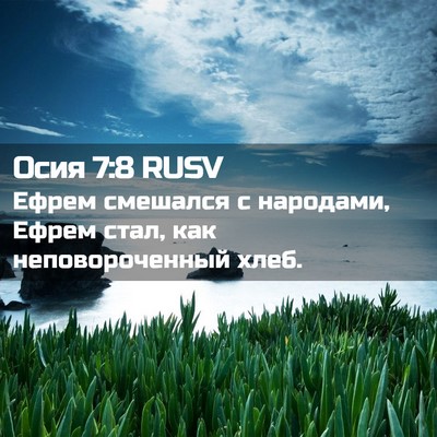 Picture 02 - Осия 7:8 RUSV - Ефрем смешался с народами, - Bible Verse Picture