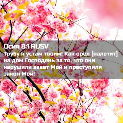 Picture 02 - Осия 8:1 RUSV - Трубу к устам твоим! Как - Bible Verse Picture