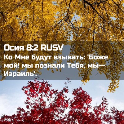 Picture 02 - Осия 8:2 RUSV - Ко Мне будут взывать: 'Боже - Bible Verse Picture