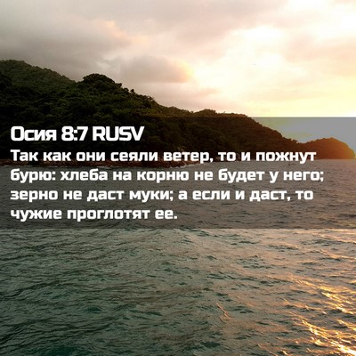 Picture 02 - Осия 8:7 RUSV - Так как они сеяли ветер, то - Bible Verse Picture