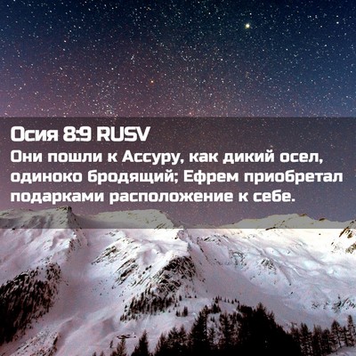 Picture 02 - Осия 8:9 RUSV - Они пошли к Ассуру, как - Bible Verse Picture