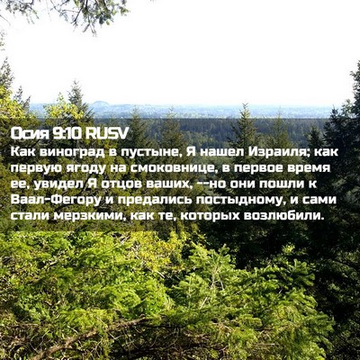Picture 02 - Осия 9:10 RUSV - Как виноград в пустыне, Я - Bible Verse Picture