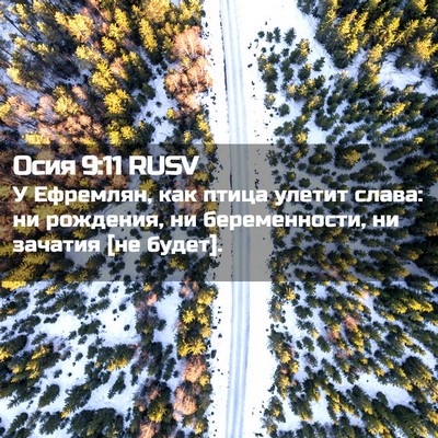 Picture 02 - Осия 9:11 RUSV - У Ефремлян, как птица - Bible Verse Picture