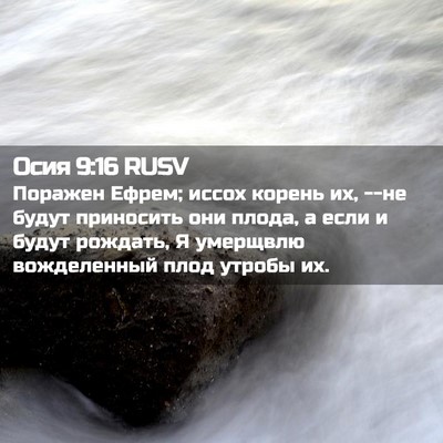 Picture 02 - Осия 9:16 RUSV - Поражен Ефрем; иссох - Bible Verse Picture