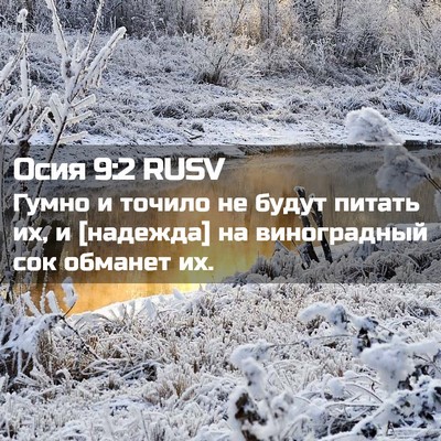 Picture 02 - Осия 9:2 RUSV - Гумно и точило не будут - Bible Verse Picture