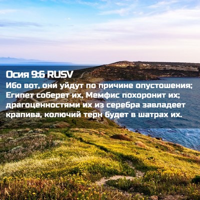 Picture 02 - Осия 9:6 RUSV - Ибо вот, они уйдут по - Bible Verse Picture