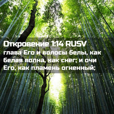 Picture 02 - Откровение 1:14 RUSV - глава Его и волосы белы, - Bible Verse Picture