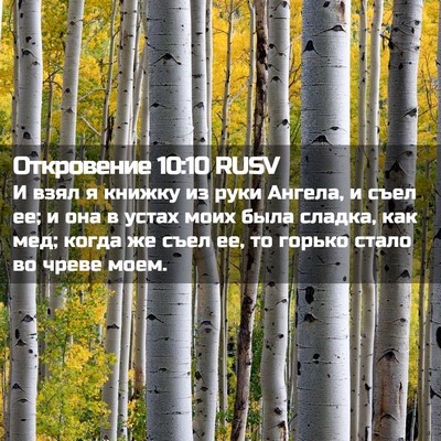 Picture 02 - Откровение 10:10 RUSV - И взял я книжку из руки - Bible Verse Picture