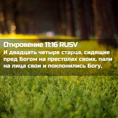 Picture 02 - Откровение 11:16 RUSV - И двадцать четыре старца, - Bible Verse Picture
