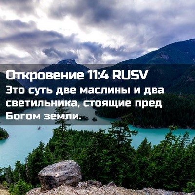 Picture 02 - Откровение 11:4 RUSV - Это суть две маслины и два - Bible Verse Picture