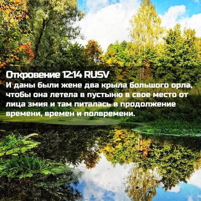 Picture 02 - Откровение 12:14 RUSV - И даны были жене два крыла - Bible Verse Picture