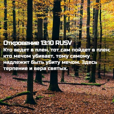 Picture 02 - Откровение 13:10 RUSV - Кто ведет в плен, тот сам - Bible Verse Picture