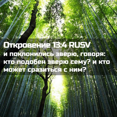 Picture 02 - Откровение 13:4 RUSV - и поклонились зверю, - Bible Verse Picture