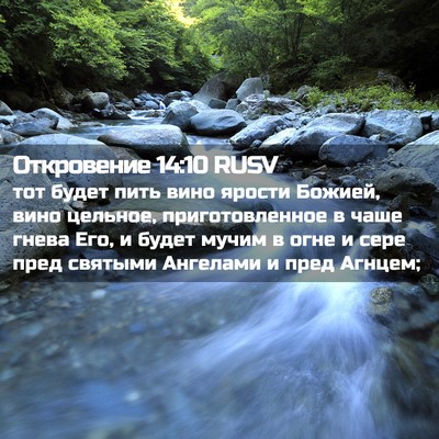 Picture 02 - Откровение 14:10 RUSV - тот будет пить вино ярости - Bible Verse Picture