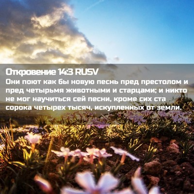 Picture 02 - Откровение 14:3 RUSV - Они поют как бы новую песнь - Bible Verse Picture