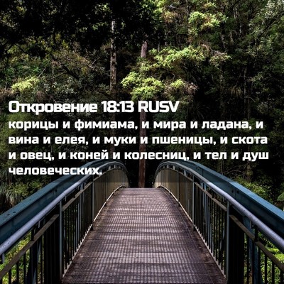 Picture 02 - Откровение 18:13 RUSV - корицы и фимиама, и мира и - Bible Verse Picture