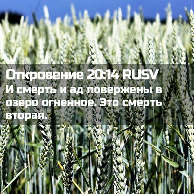 Picture 02 - Откровение 20:14 RUSV - И смерть и ад повержены в - Bible Verse Picture