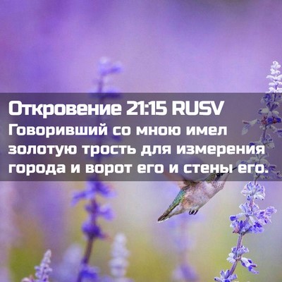 Picture 02 - Откровение 21:15 RUSV - Говоривший со мною имел - Bible Verse Picture