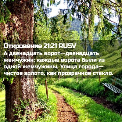 Picture 02 - Откровение 21:21 RUSV - А двенадцать - Bible Verse Picture
