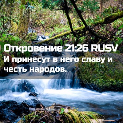 Picture 02 - Откровение 21:26 RUSV - И принесут в него славу и - Bible Verse Picture