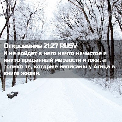 Picture 02 - Откровение 21:27 RUSV - И не войдет в него ничто - Bible Verse Picture