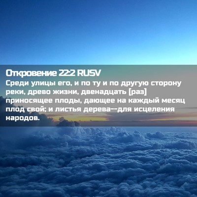 Picture 02 - Откровение 22:2 RUSV - Среди улицы его, и по ту и - Bible Verse Picture