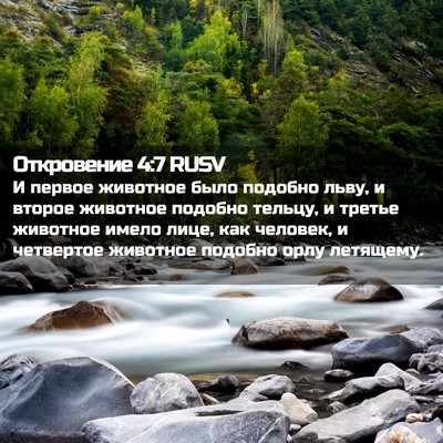 Picture 02 - Откровение 4:7 RUSV - И первое животное было - Bible Verse Picture