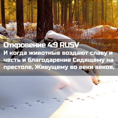 Picture 02 - Откровение 4:9 RUSV - И когда животные воздают - Bible Verse Picture