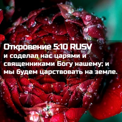 Picture 02 - Откровение 5:10 RUSV - и соделал нас царями и - Bible Verse Picture