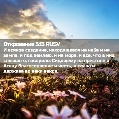 Picture 02 - Откровение 5:13 RUSV - И всякое создание, - Bible Verse Picture