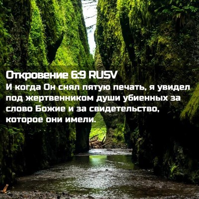 Picture 02 - Откровение 6:9 RUSV - И когда Он снял пятую - Bible Verse Picture